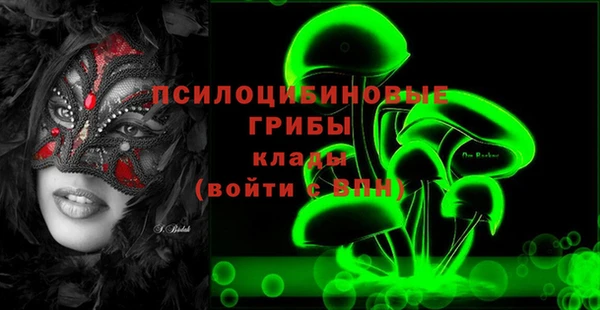 крисы Володарск