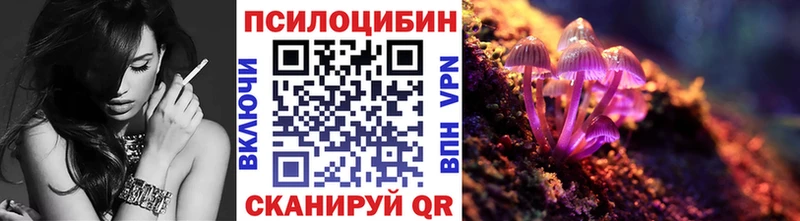 Псилоцибиновые грибы Psilocybine cubensis Печоры